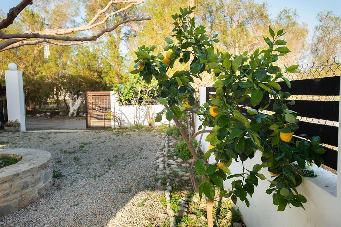 Afrathias Beachhouse - Cretan Hideaway Kalamaki  Exteriér fotografie